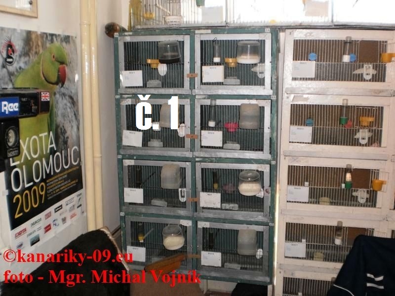Predám chovné zariadenie - 3