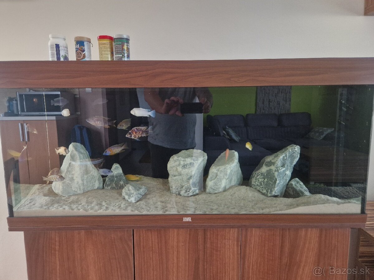 Juwel 240 Akvarium - 3