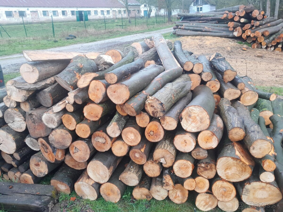 palivové drevo - 3
