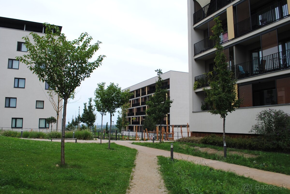 Prenajmem veľký1,5izbový slnečný byt, Bory1, nemocnica 3 min - 3