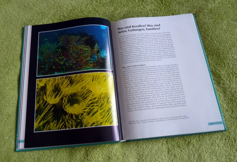 Riffaquaristik für Einsteiger - kniha o morskej akvaristike - 3