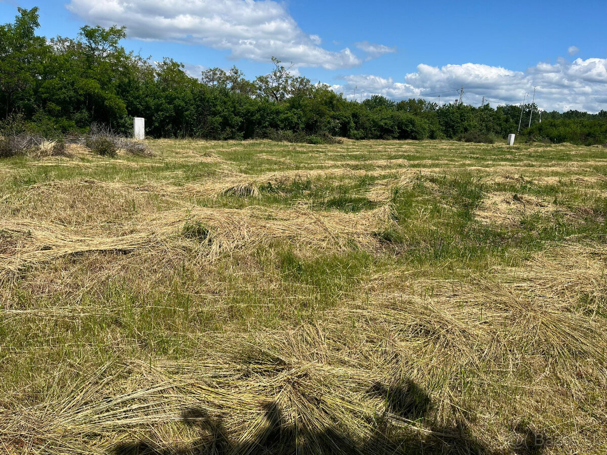 Stavebný pozemok - Čaňa, Košice - okolie - 3