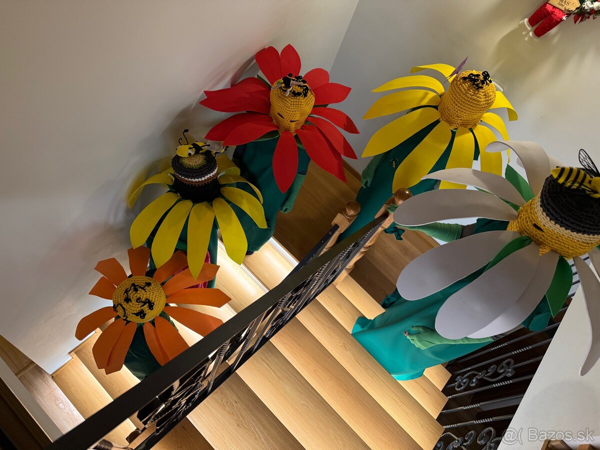 Kasnevalovy kostym - 3