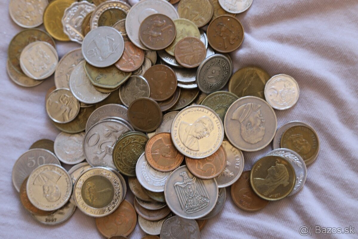 Mince mix Afrika - 3