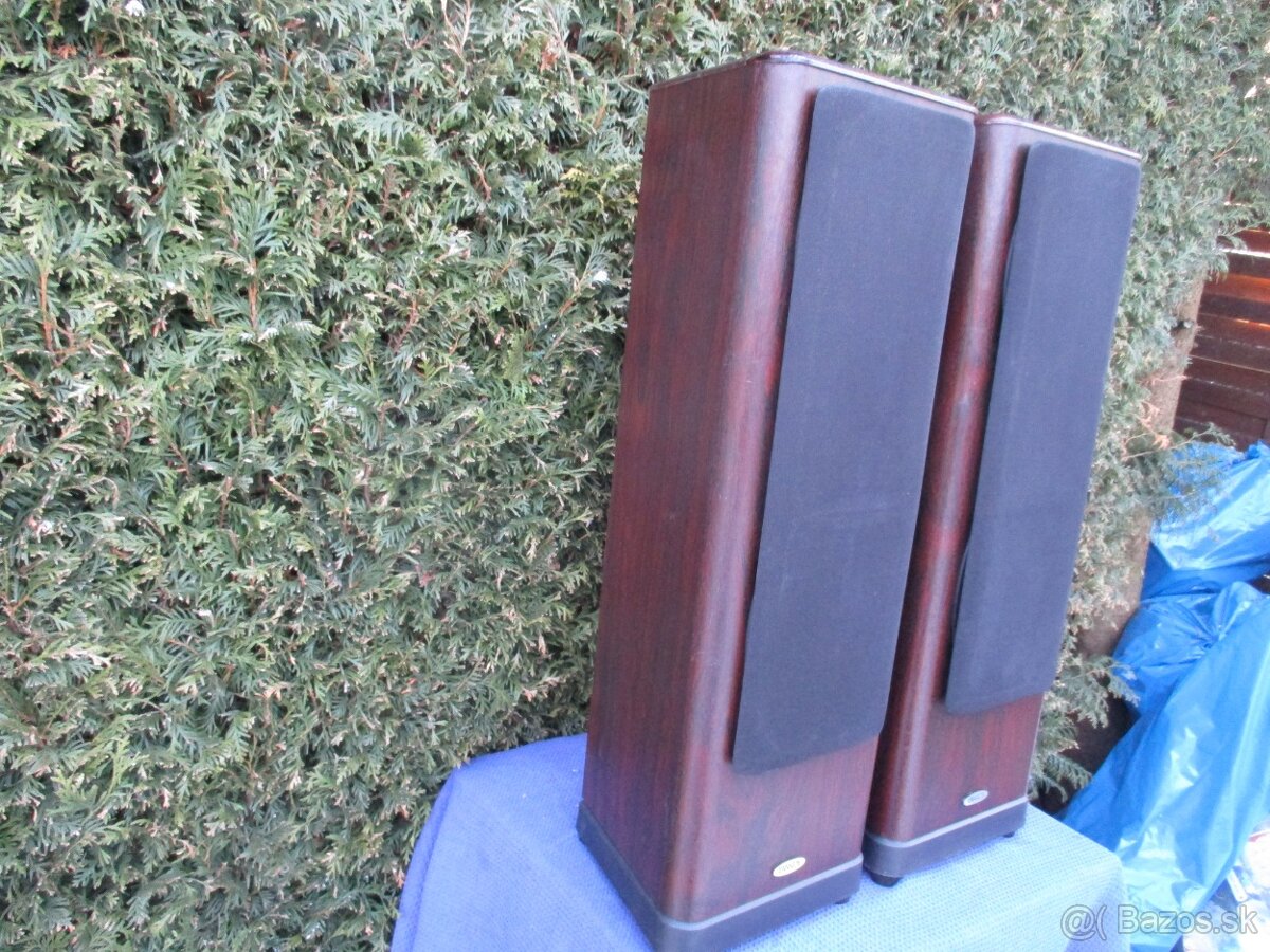 Tanoy 633 Rosewood D30 - 3