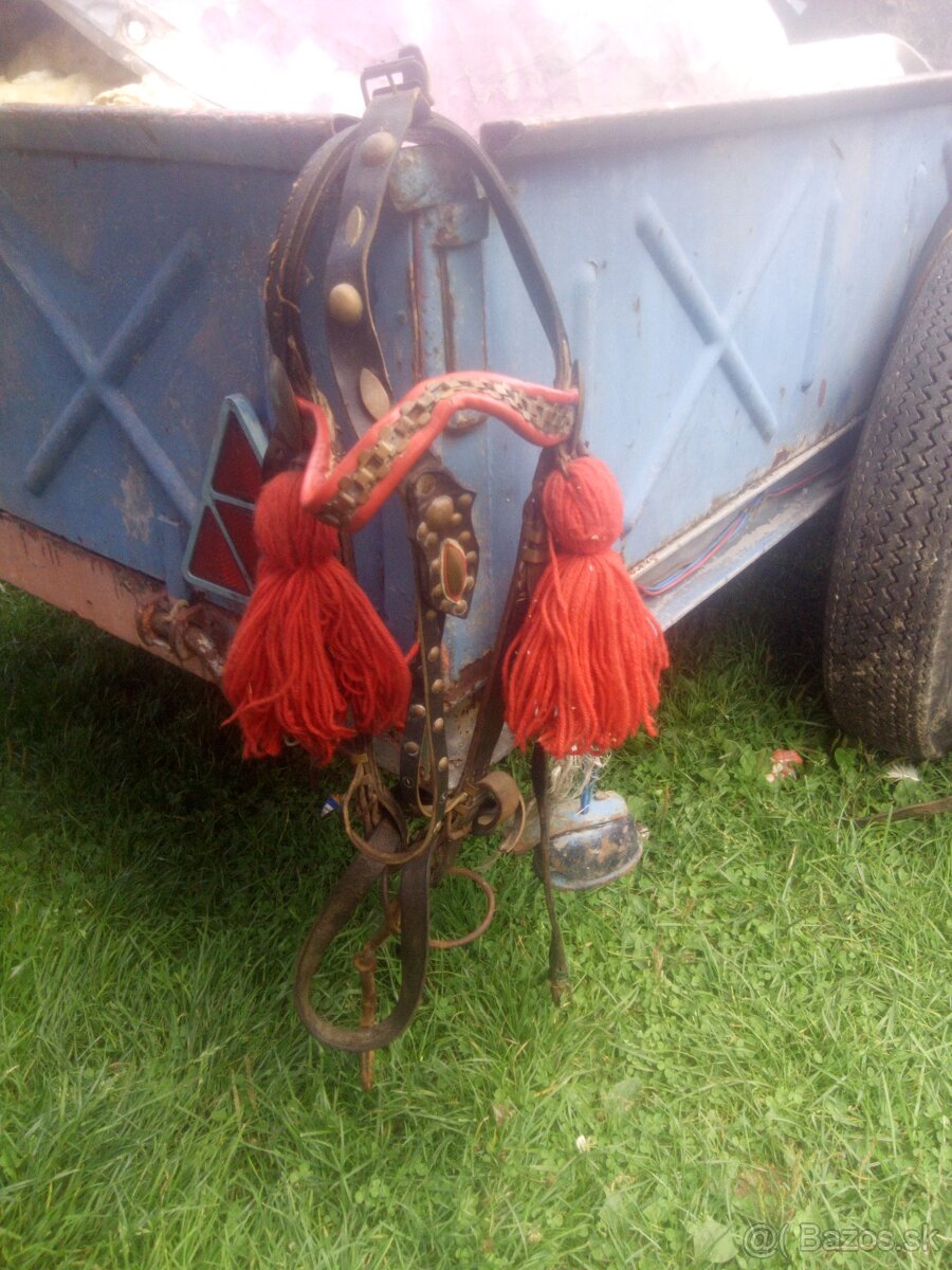 2x konské postroje - 3