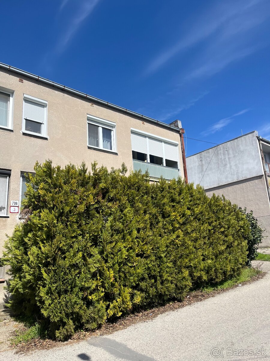 Na predaj 3 izb. byt v obci Mužla - 3