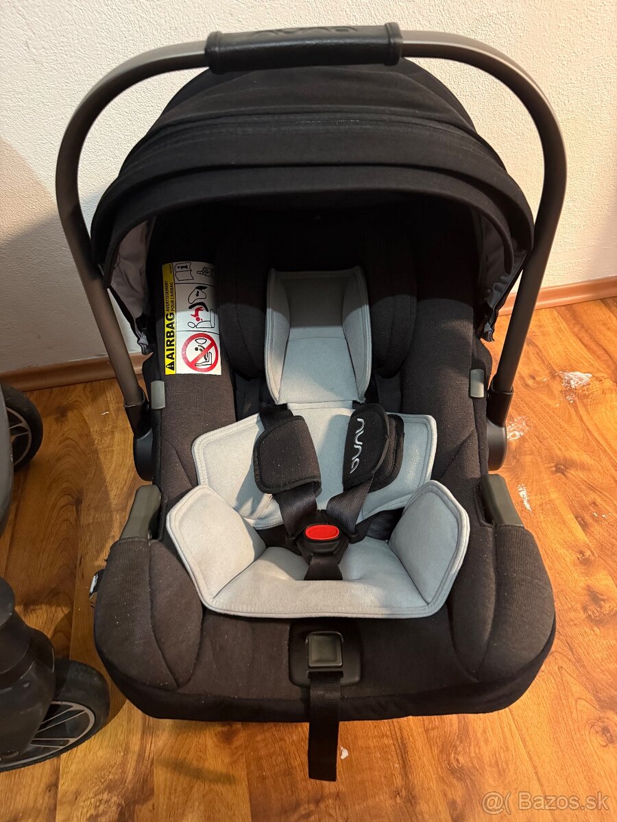 Surodenecky kocik Nuna - 3