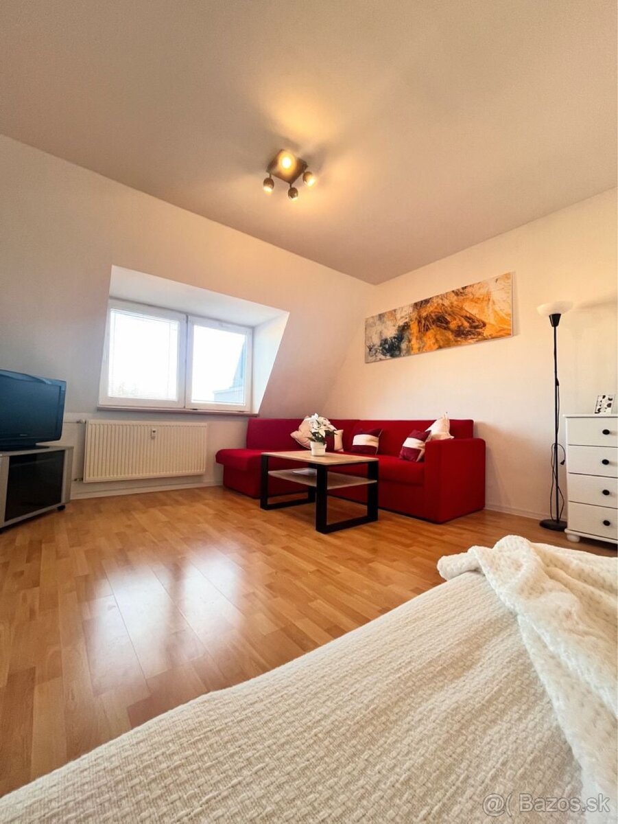 TREEF ponúka na prenájom útulný 1-izbový byt - 3