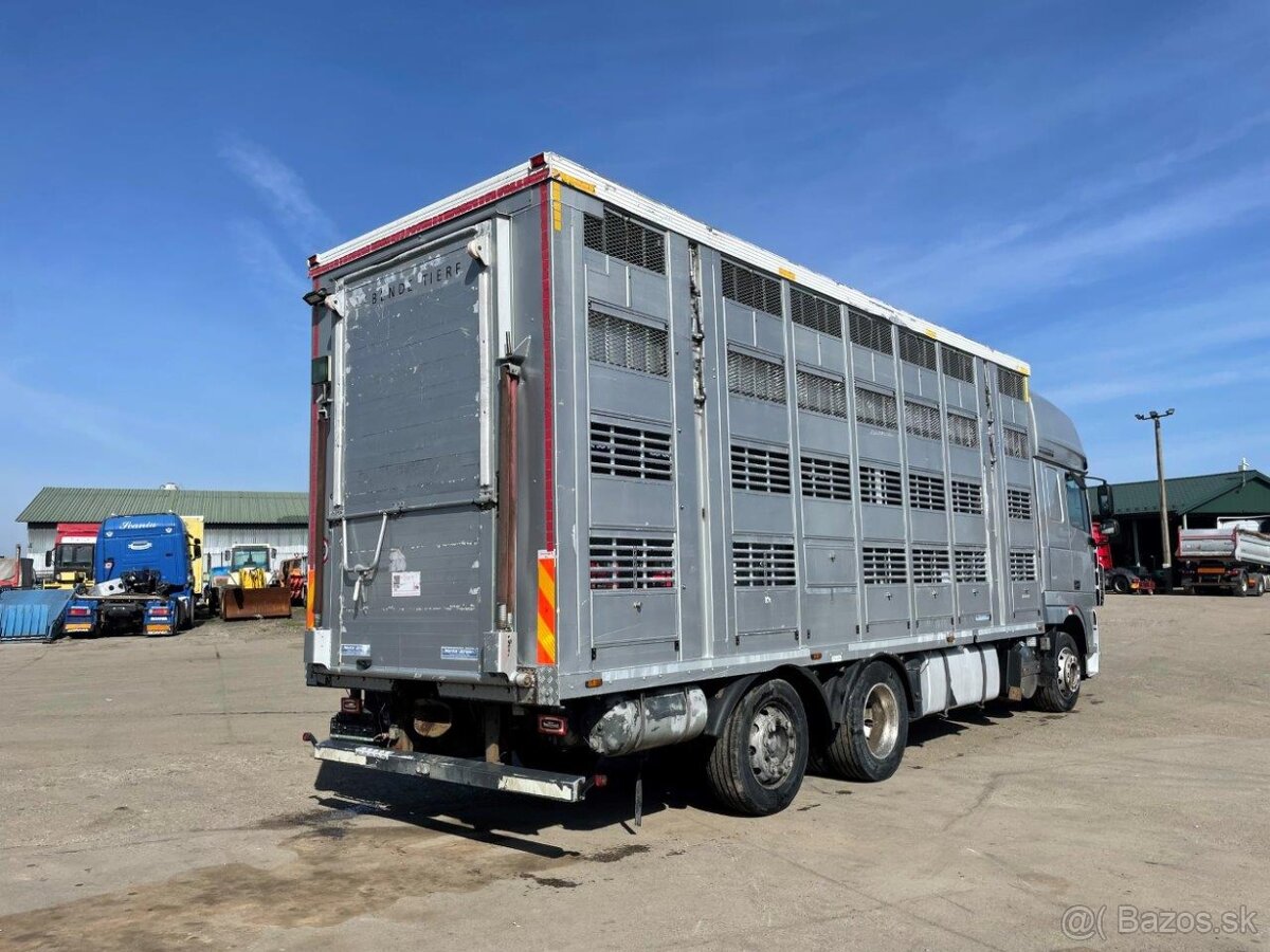 DAF 2008 VIN 417 preprava dobytka - 3