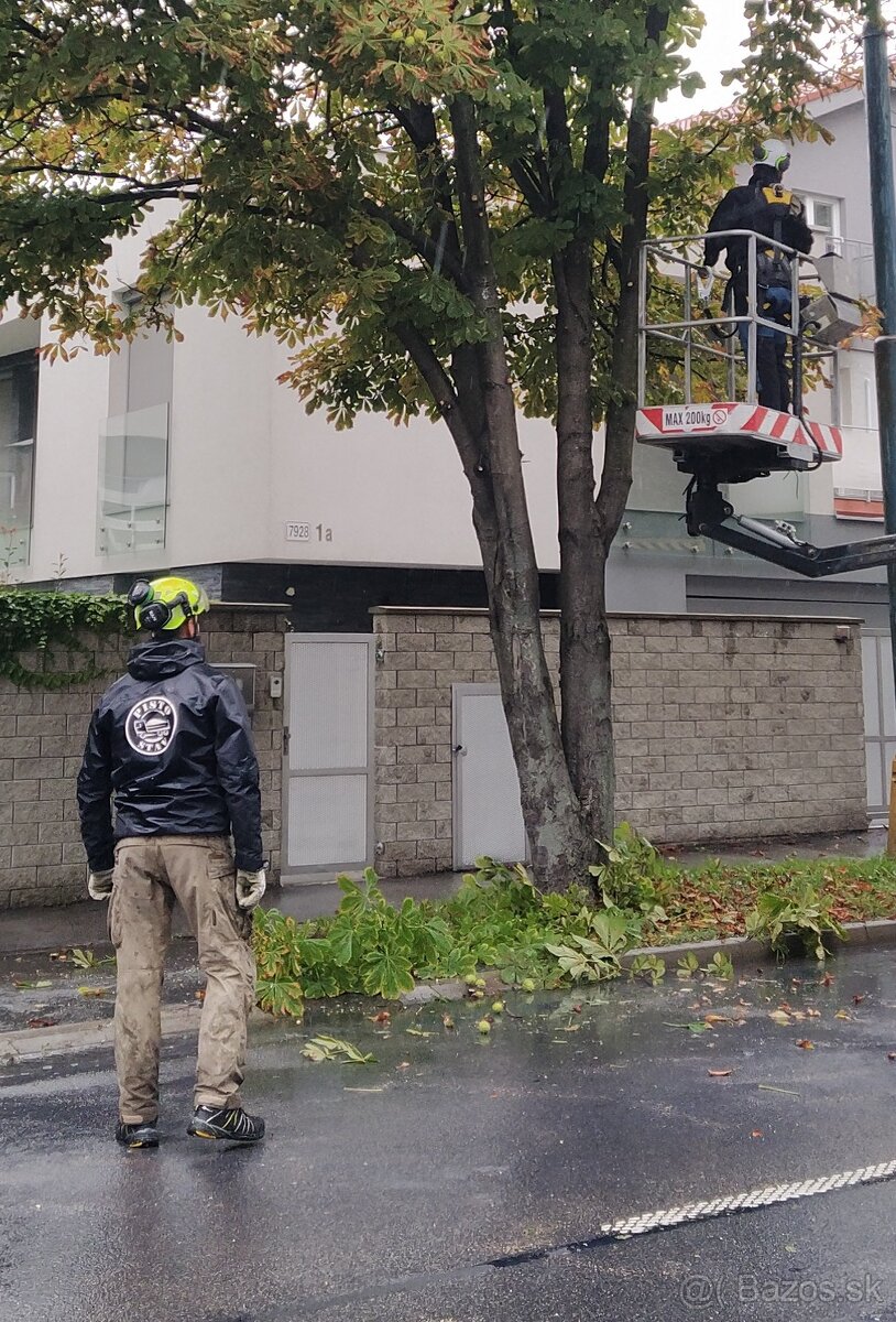 Pílenie stromov, arboristika, výrub stromov, orez stromov - 3