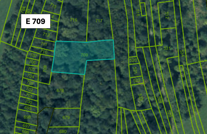 Omastiná – 9.909 m2 LESY a PASIENKY – PREDAJ - 3
