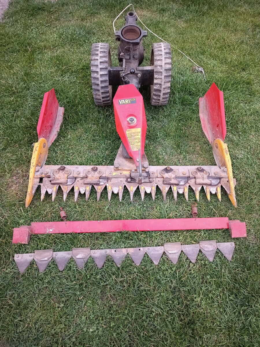 Vari listova kosacka - 3