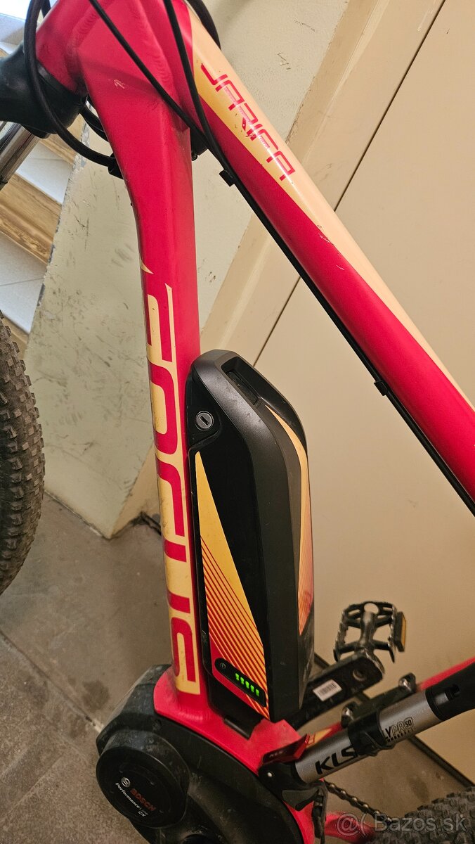 Ebike jarifa focus - 3