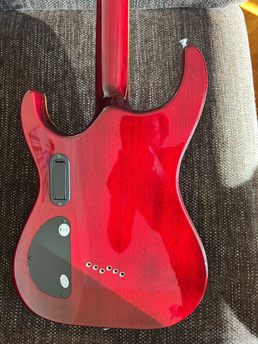 Washburn X50 ProFE gitara - 3