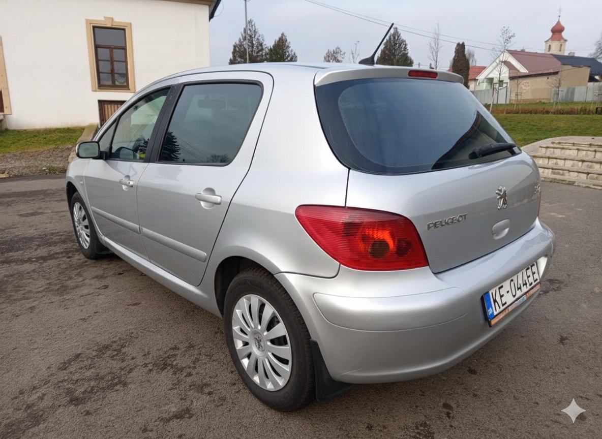 Peugeot 307 1.4i 16V 65 kw - 3