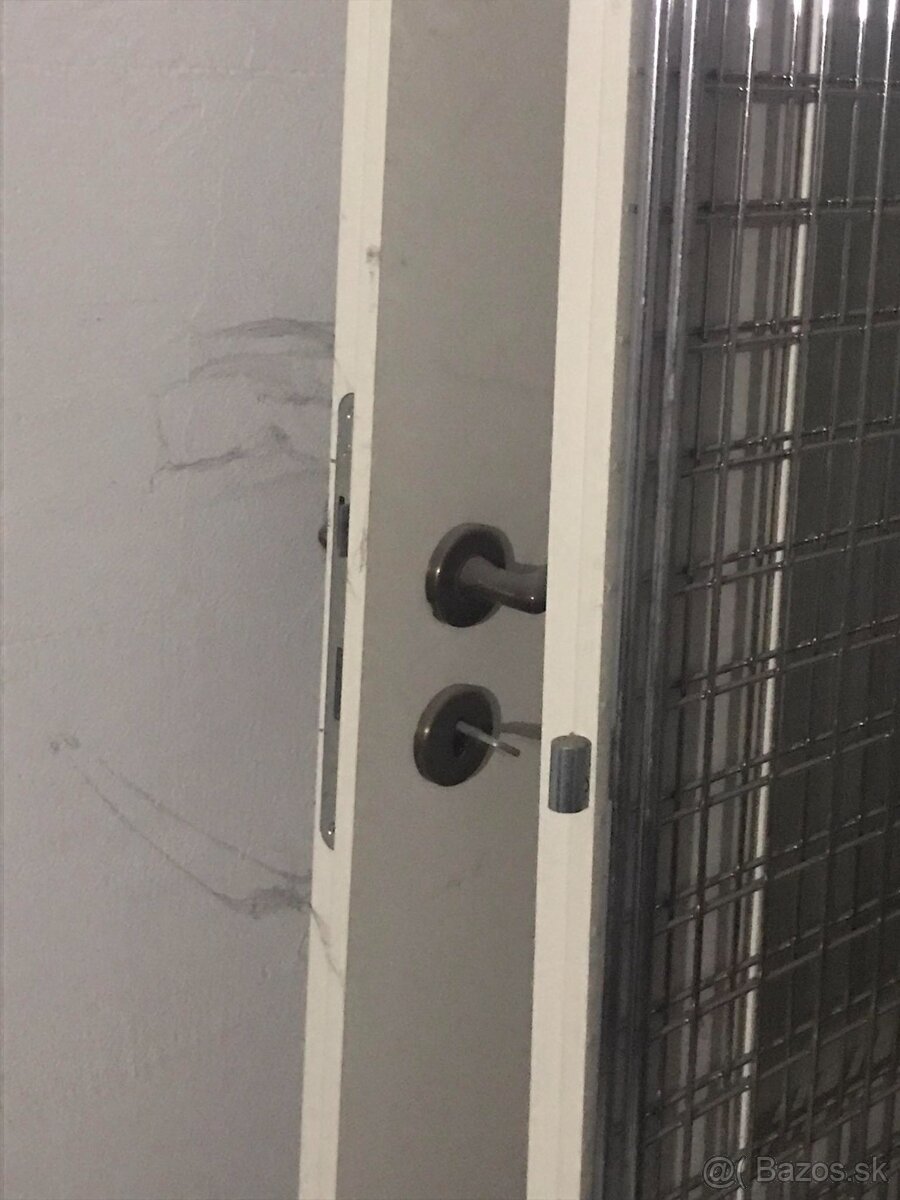 Darujem za odvoz - 2x Dvere 205x85cm - 3