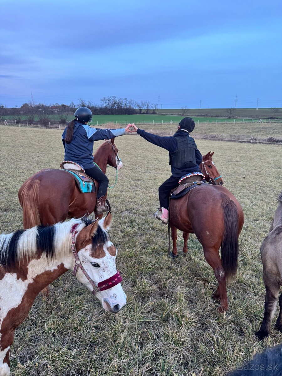 🐎 Jazdenie na koni – Červeny Dvor - 3