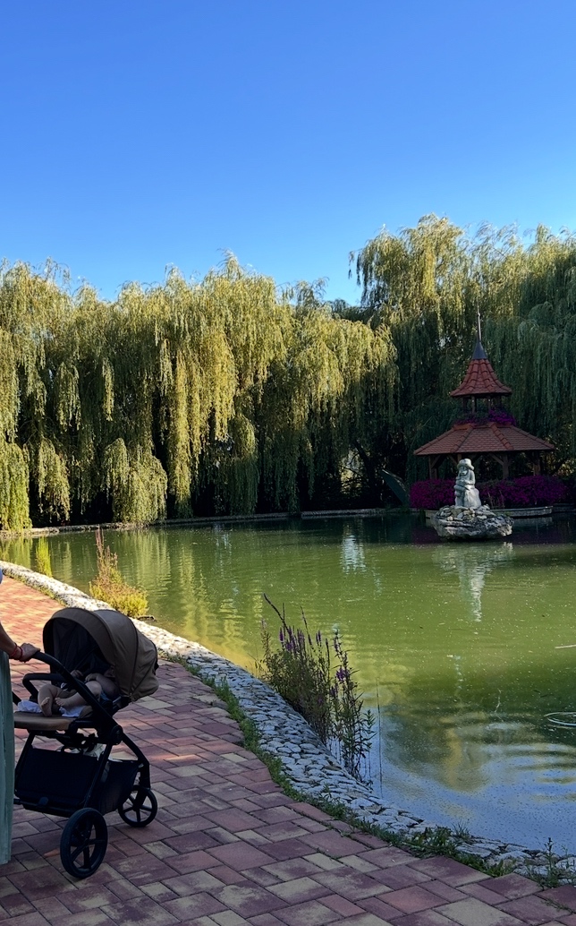 Predam nas kocik aj s vajickom - 3