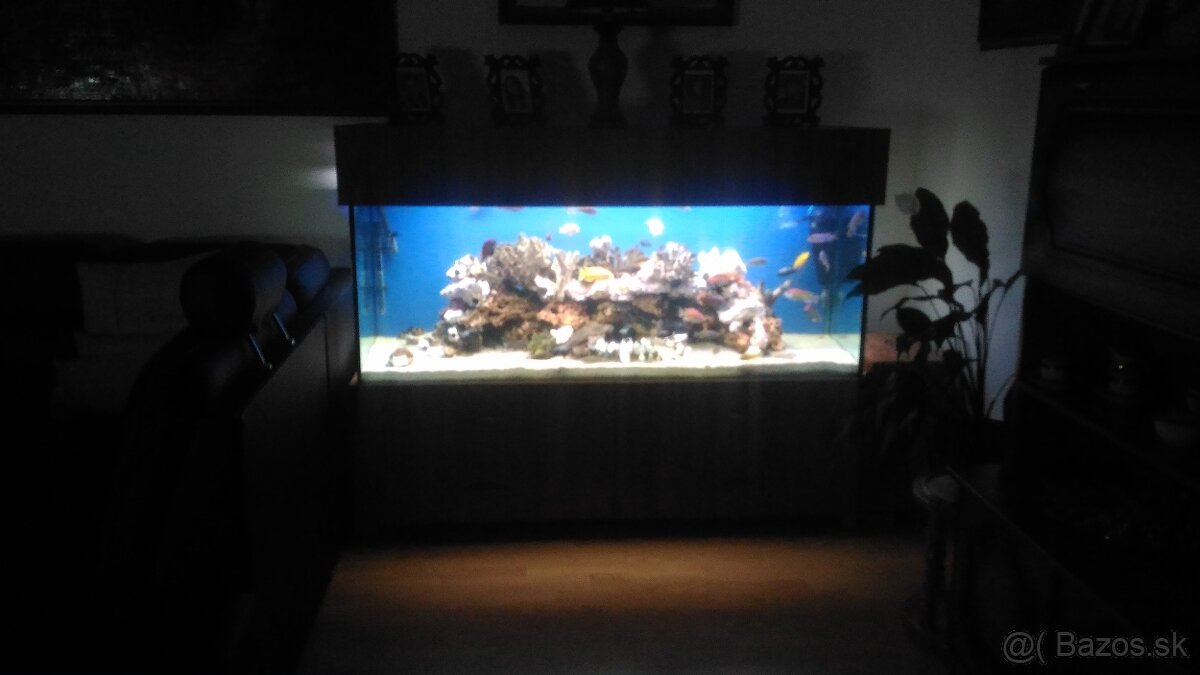 Veľké akvárium - 3
