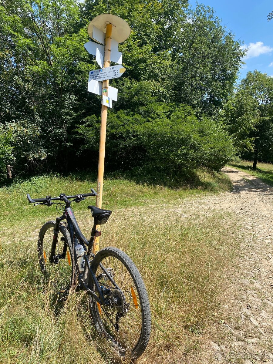 Éra specialized carbonovy dámsky Bike , S