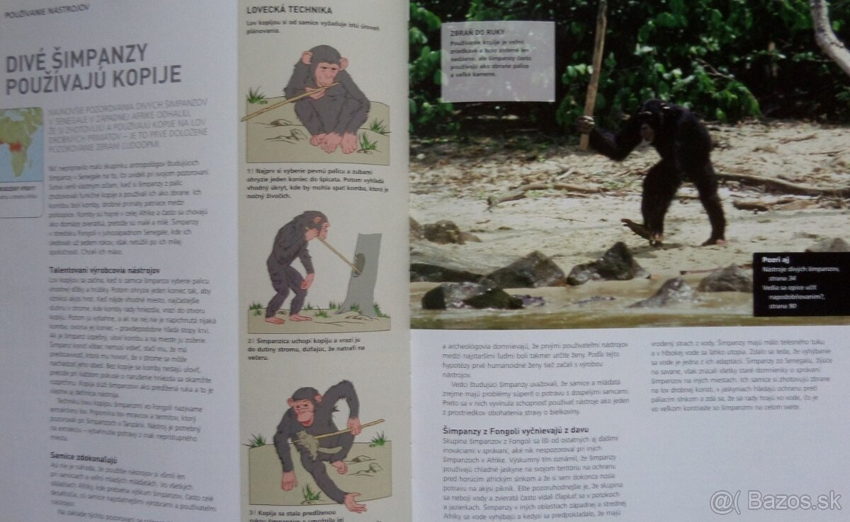 Géniovia sveta zvierat - 3