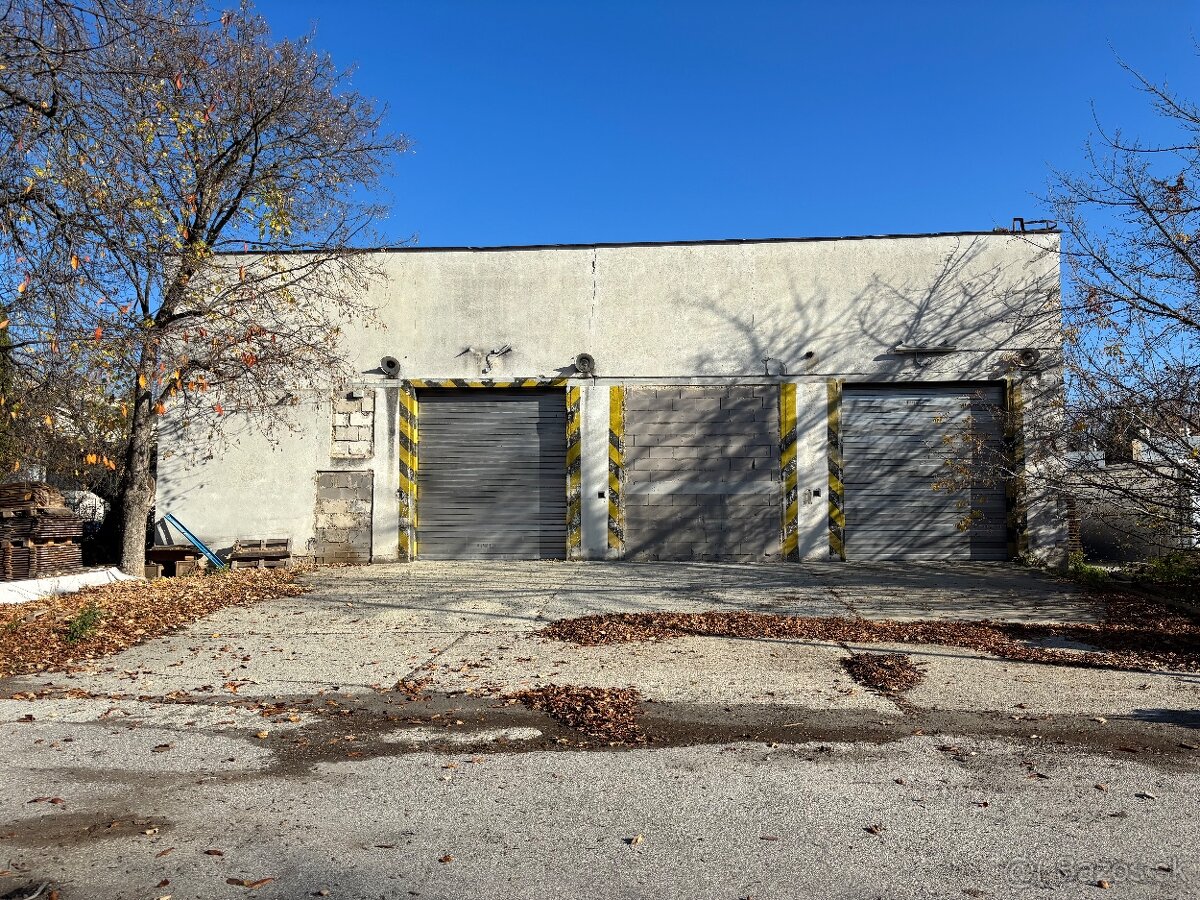 Haly na prenájom - 3