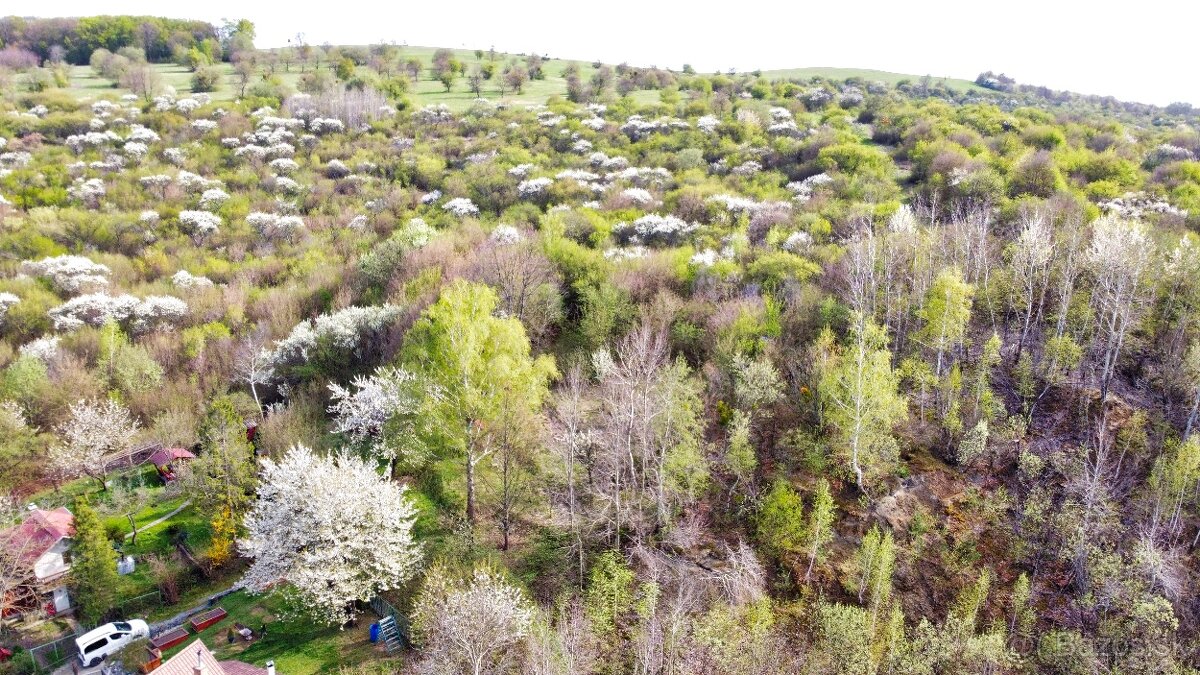 ZÁHRADNY POZEMOK S KRÁSNYM VÝHĽADOM, BYSTER - 3