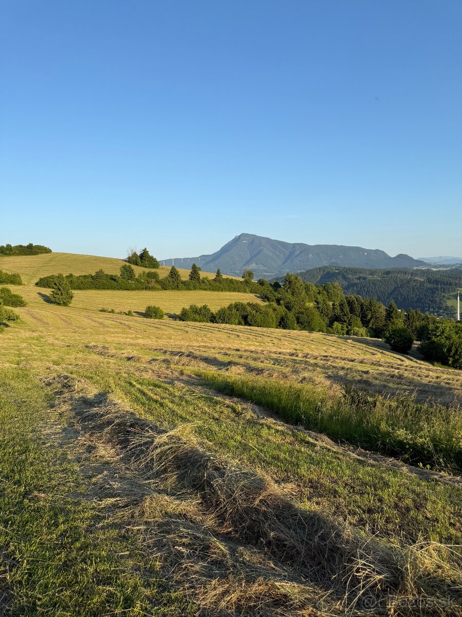 Ponúkam na predaj seno - 3