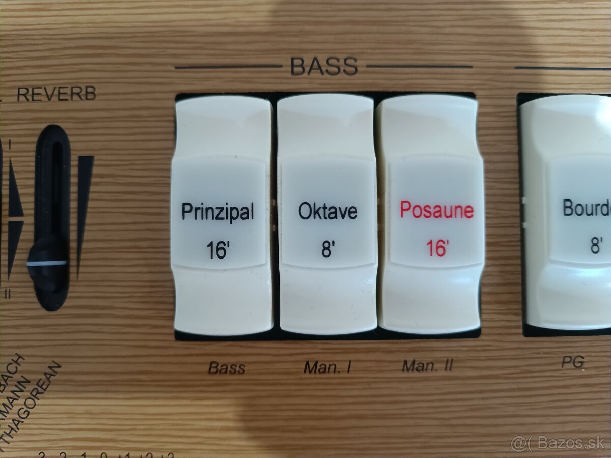 Cantorum VI plus - 3