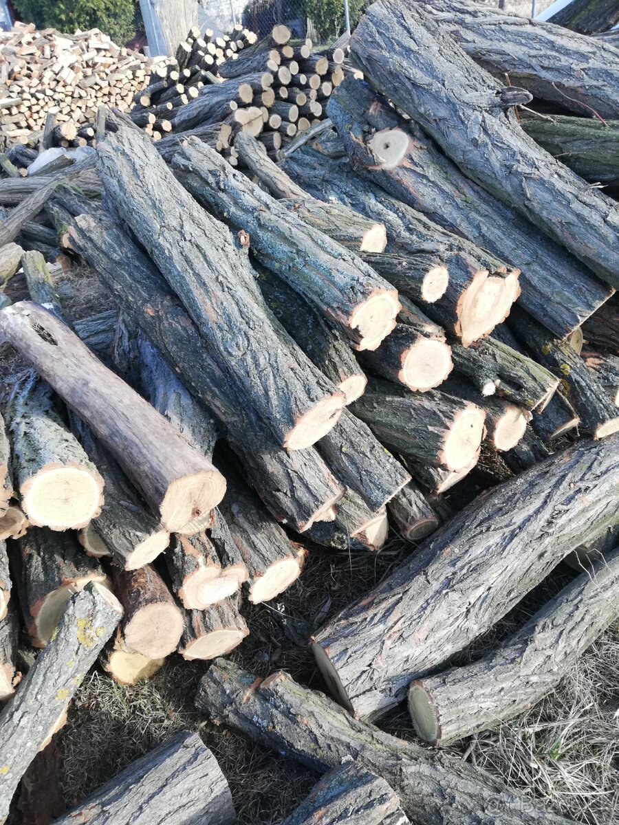 Suché tvrdé palivové drevo. Agát, dub, buk. - 3