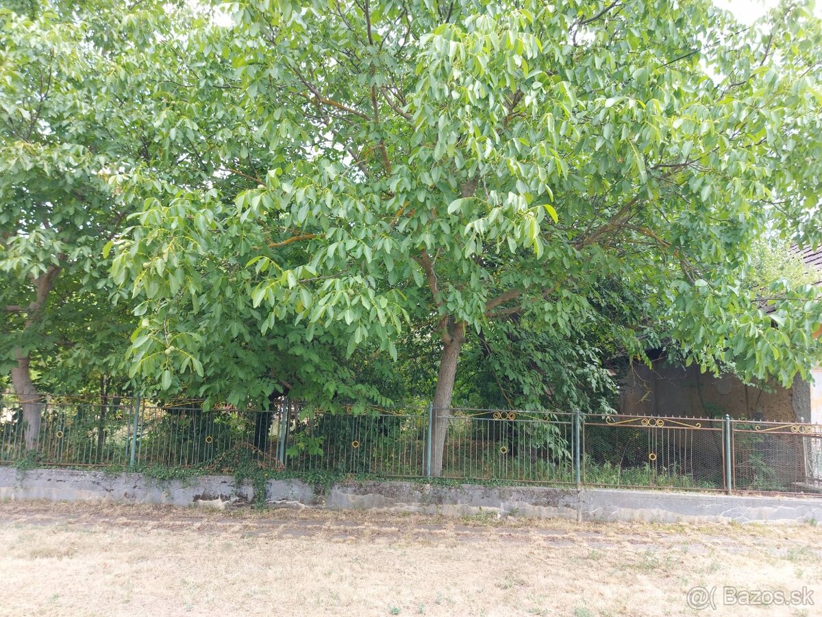 Stavebný pozemok Nový Tekov - 3