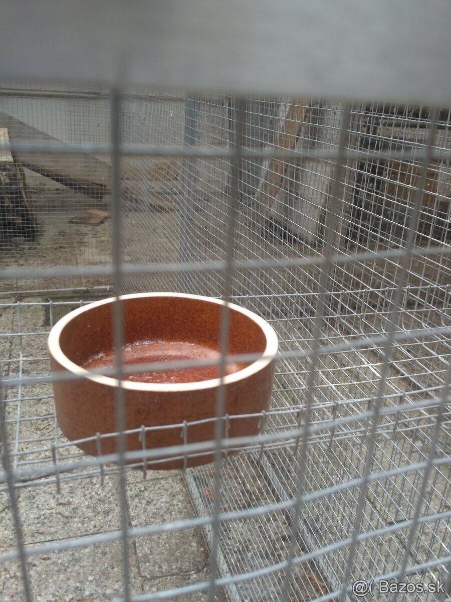 Šikovná 2,5 metrová voliéra pre vtáky. Dobrá cena. - 3