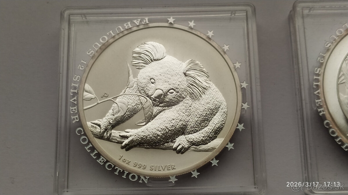 Koala 2010 a 2013 - 3