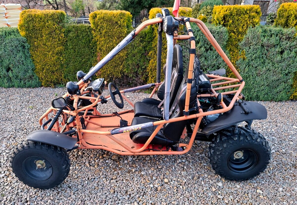 Bugina atv 250ccm - 3