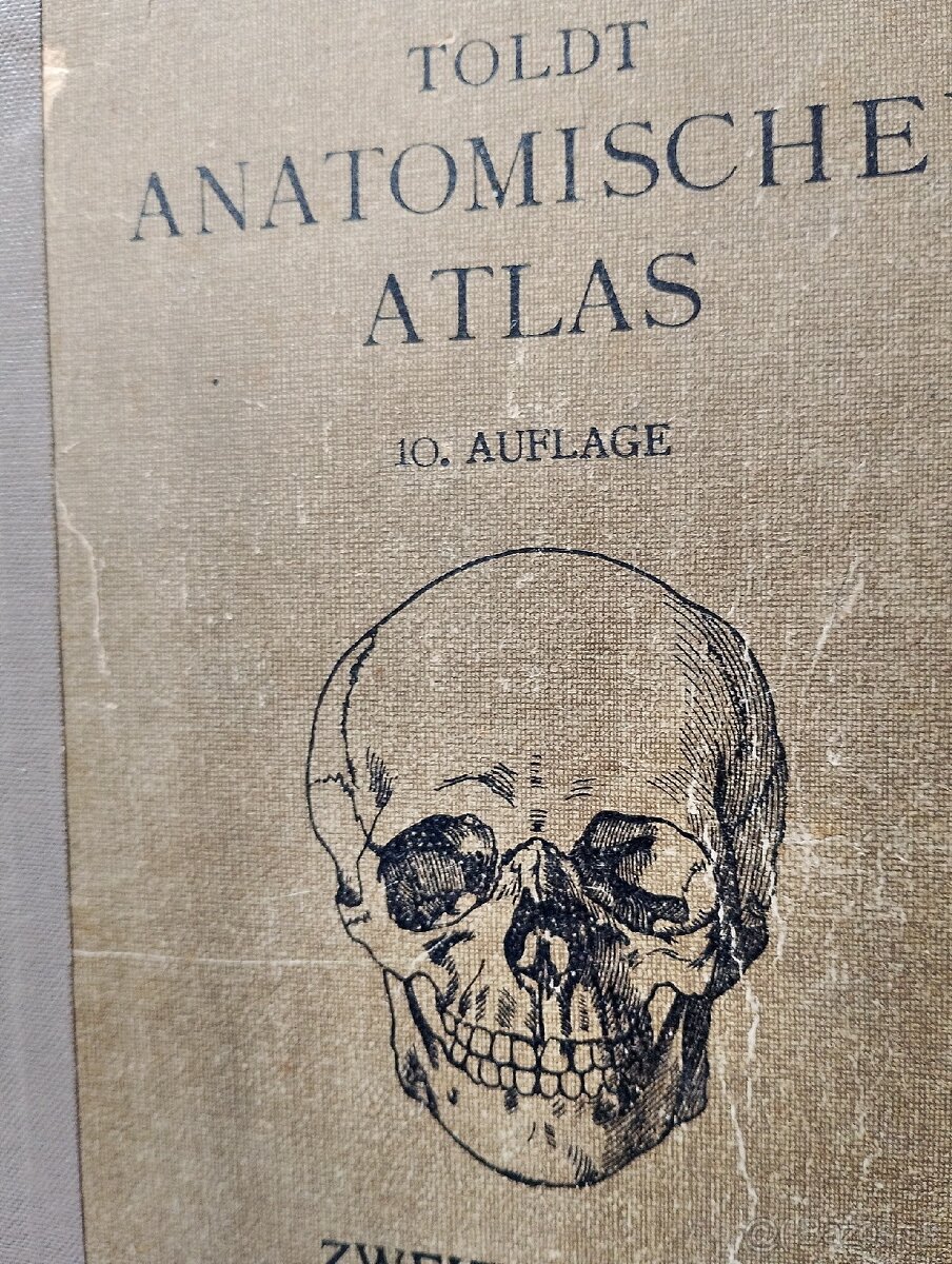 Atlas_Ľudskeho tela_1919 - 3
