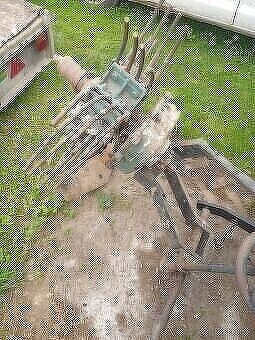 vyoravač zemiakov topolčiansky - 3