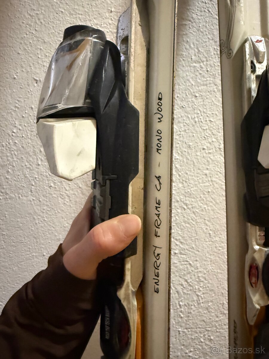 Lyže, lyžiarky, palice - 3