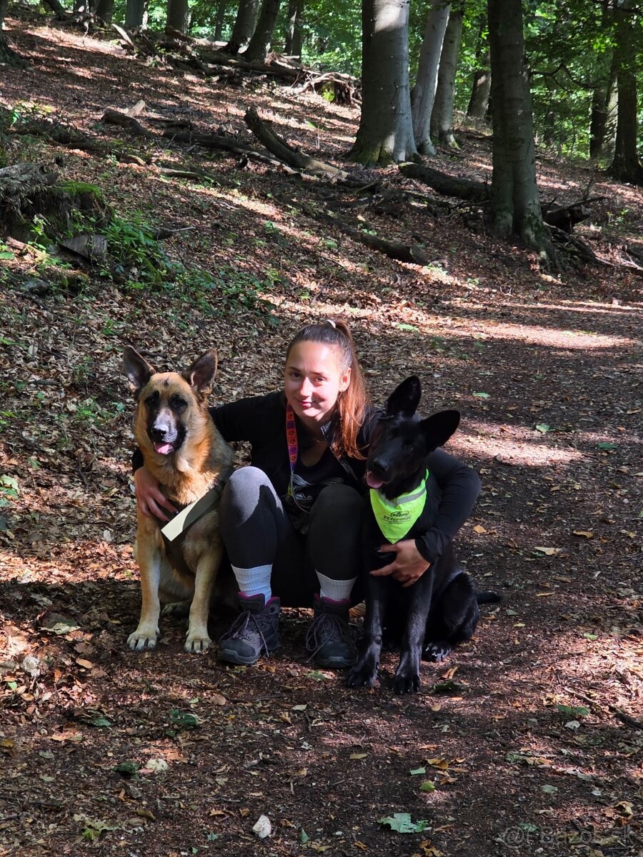 Stráženie psov a mačiek - 3