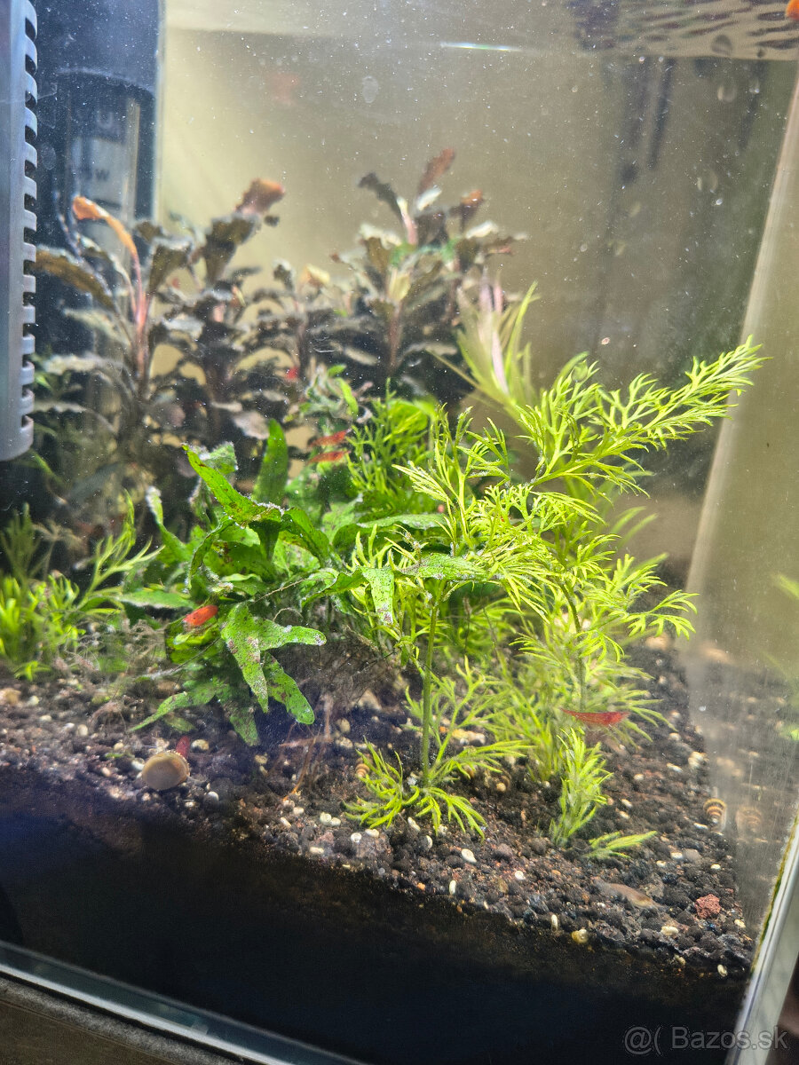 Akvárium Optiwhite 20l - 3