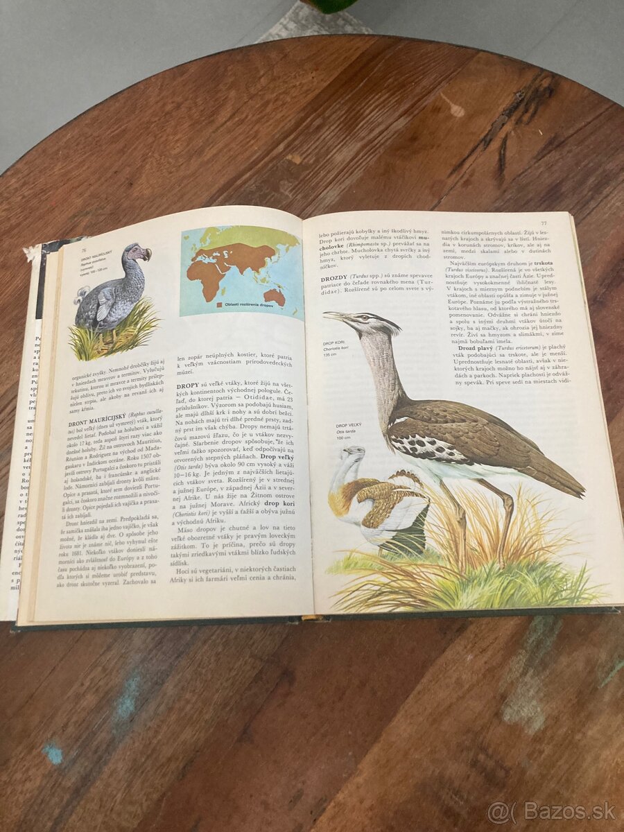 Svet živočíšnej ríše - 3