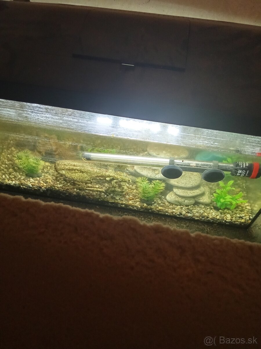 Predám dve akvária male a velke - 3