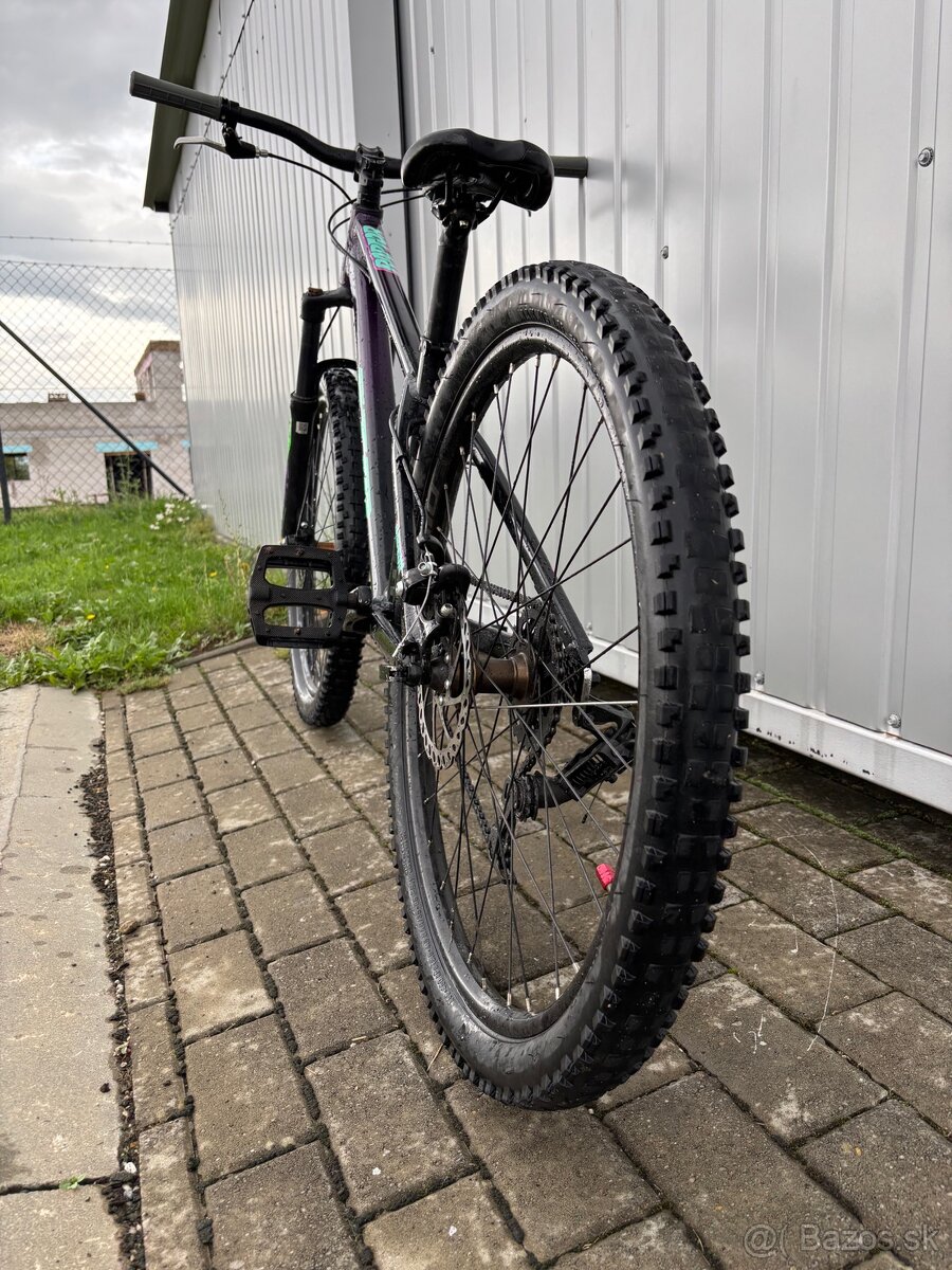 CTM raptor 1.0 2021 - 3