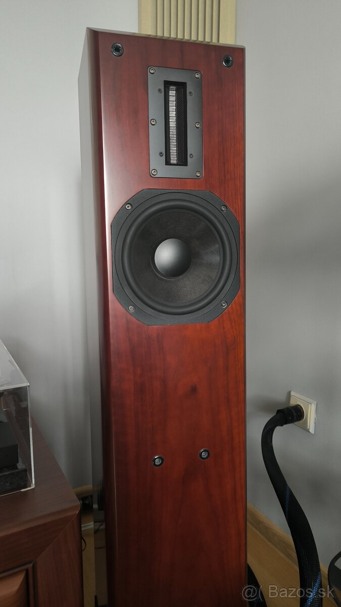 Aurum Cantus M-103 (Rosewood) - 3