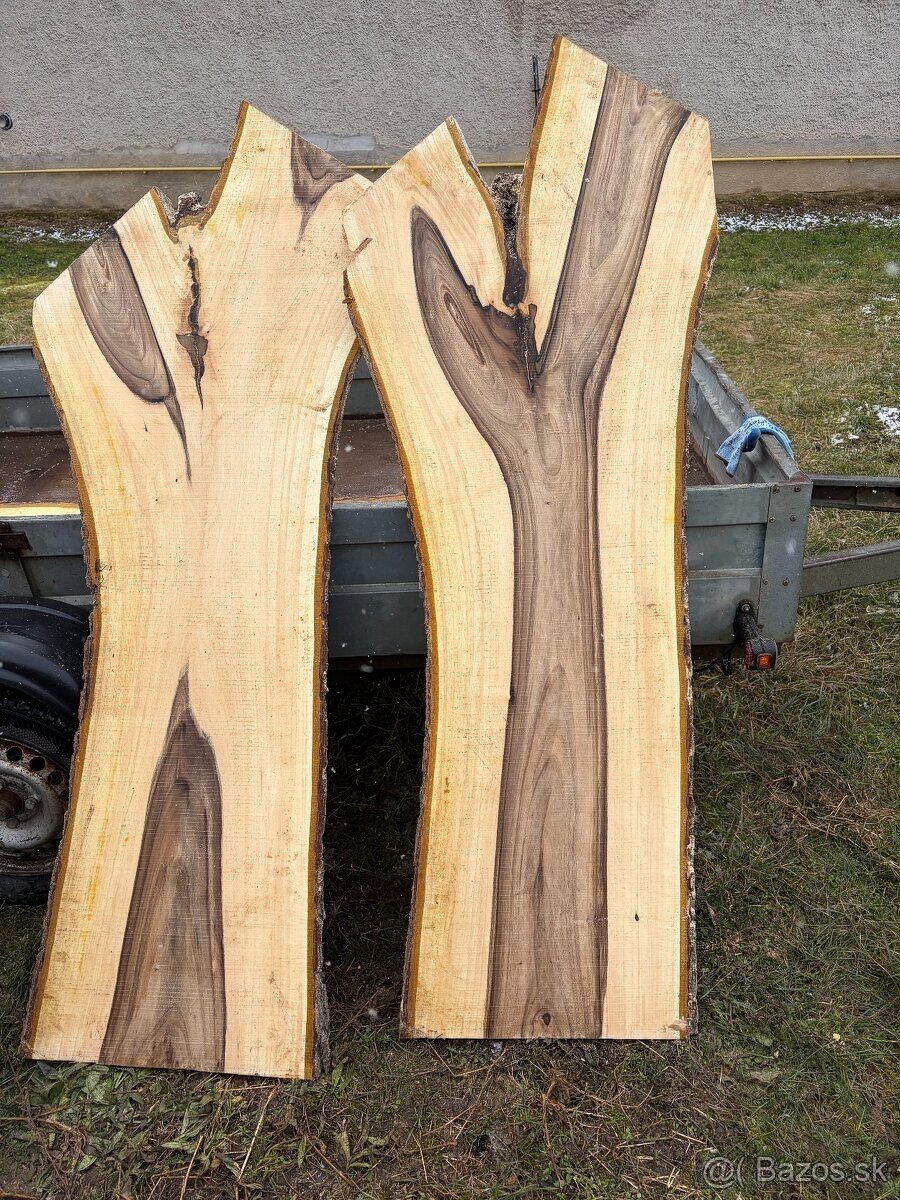 Orechové fošne - 3