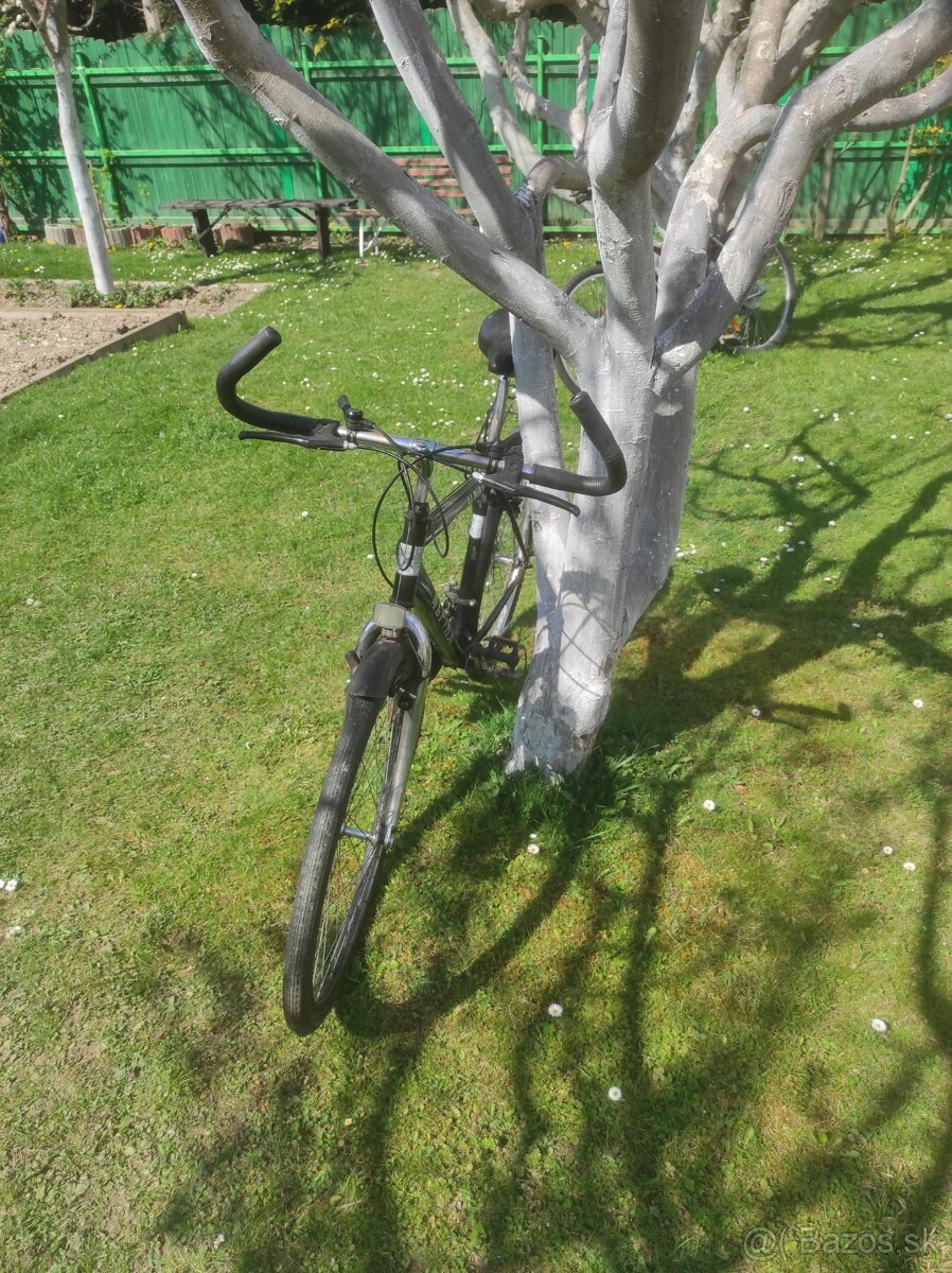 Trekingový bicykel Alpina - 3