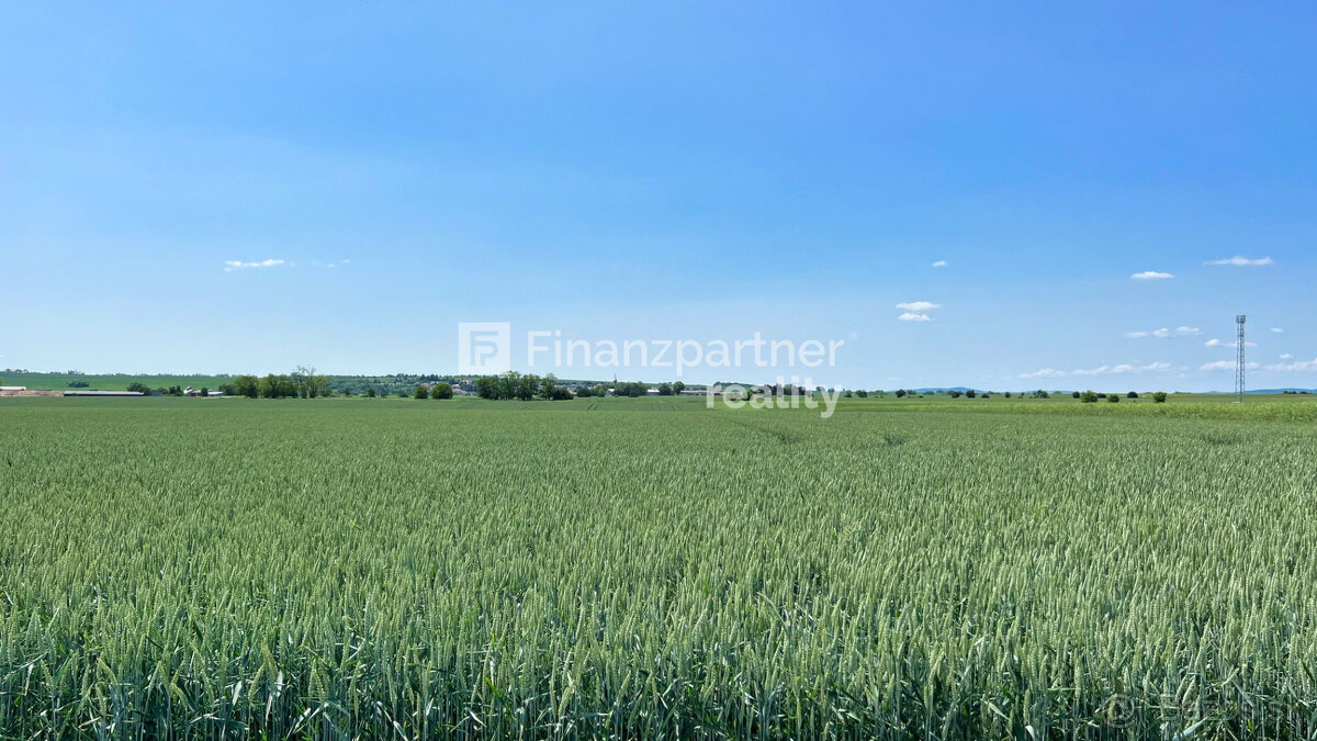 Investičný pozemok 13169 m2, Nemčice, Topoľčany - 3