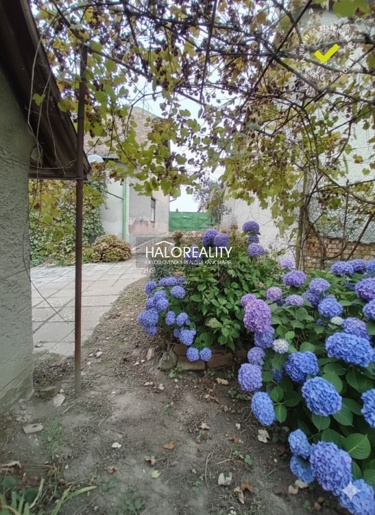 HALO reality - Predaj, rodinný dom Biskupice, útulný, s prie - 3