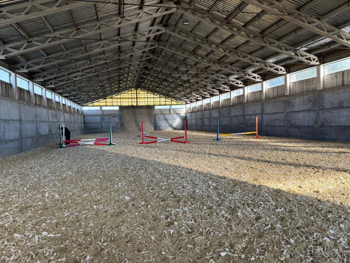 Ustajnenie koní - 3