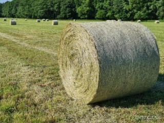 Predám seno - 3
